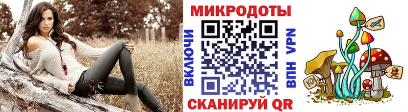 Псилоцибиновые грибы ЛСД  Новотитаровская 