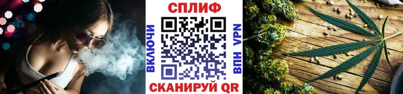 Каннабис ГИДРОПОН MEGA ТОР Новотитаровская мориарти официальный сайт как найти наркотики